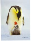Baby Santa Penguin